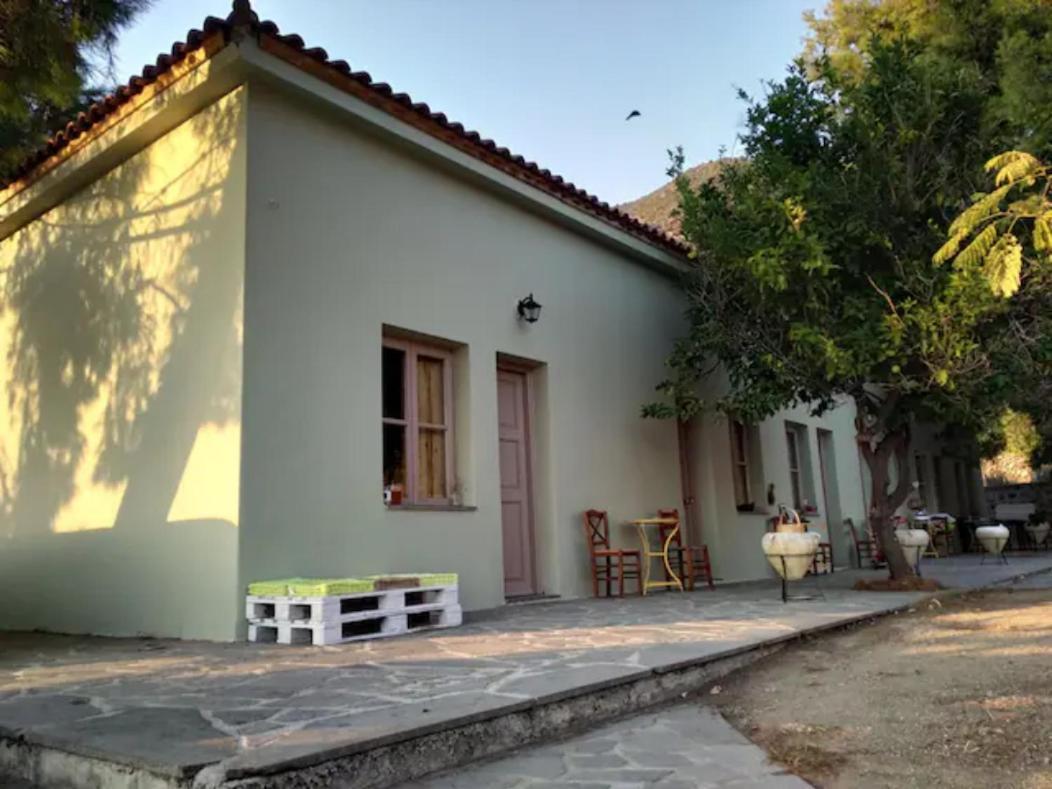 Arsinoe - Cosy Guesthouse- Méthana Exterior photo